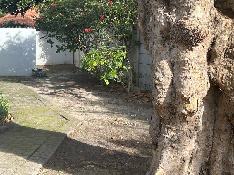 4 Bedroom Property for Sale in Rondebosch Western Cape